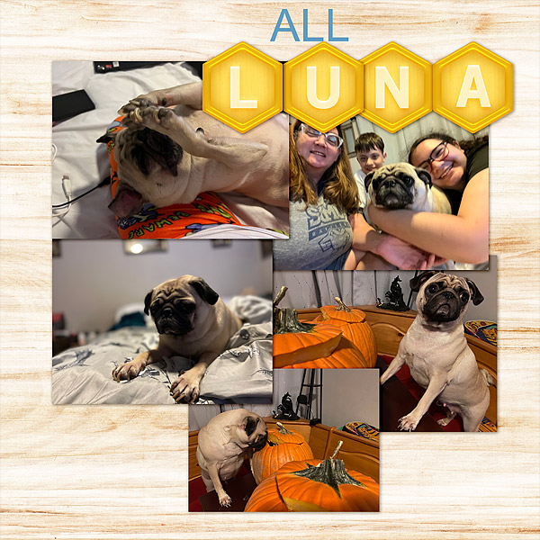 ssd_allLuna