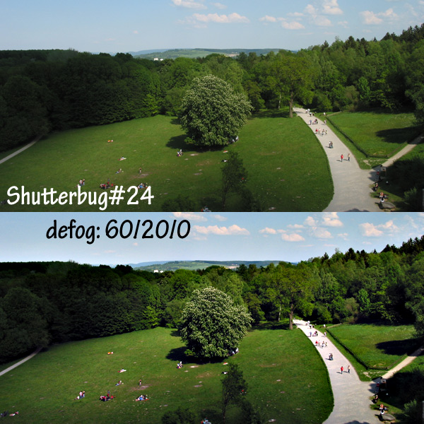 ssd_shutterbug_241
