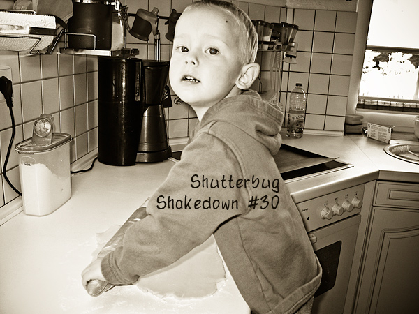 ssd_shutterbug_30a