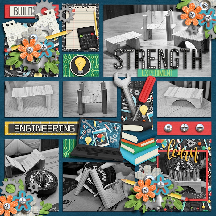 stem_700-ella
