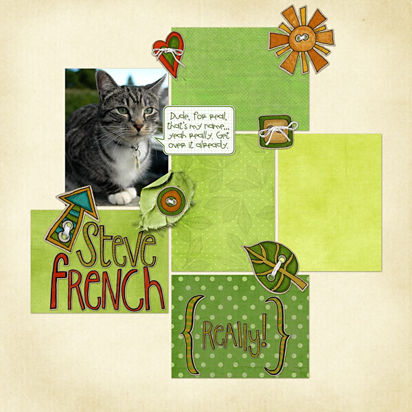 steve-french