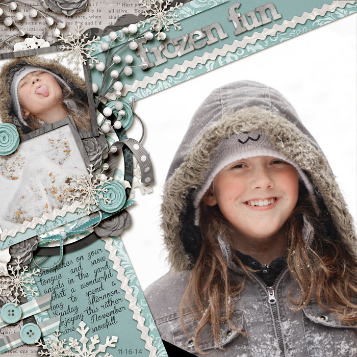 stierney_wintersveilLO