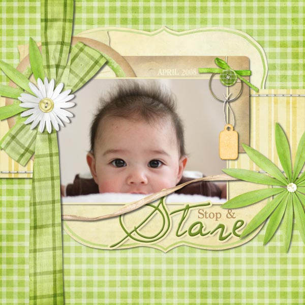stop-and-stare