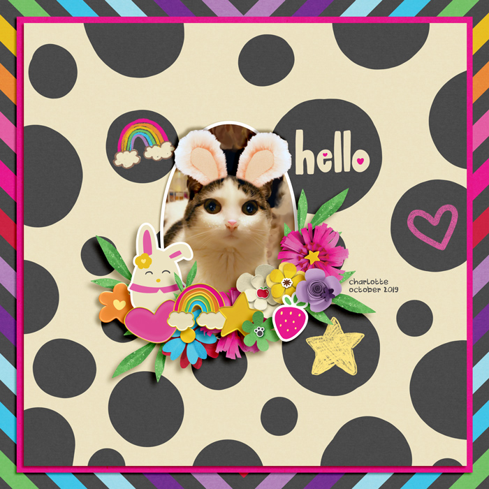 studioliv_meowkitty_pp700