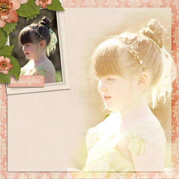 sugarplum_600_x_600_