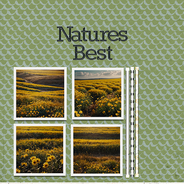 sweet_shoppe_insd_layout