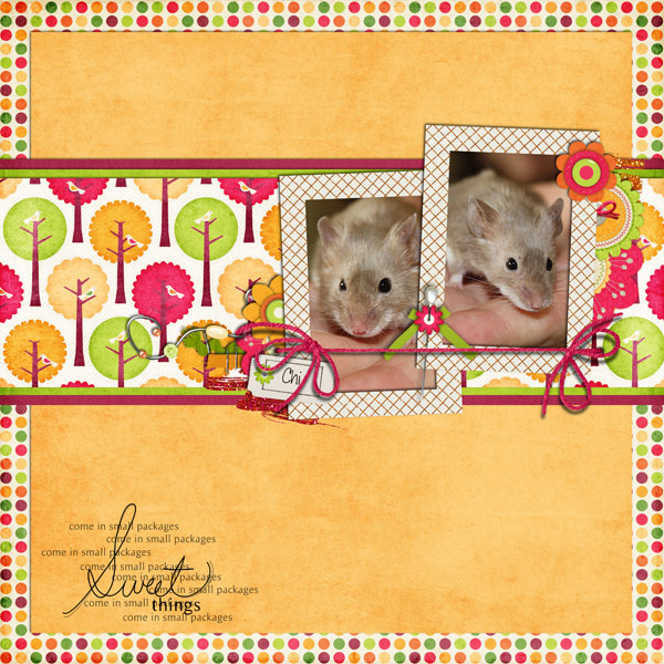sweetthings_forweb
