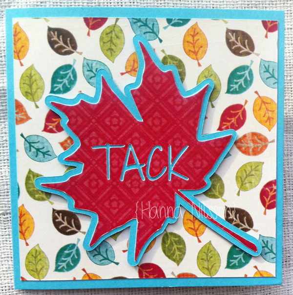 tackkort