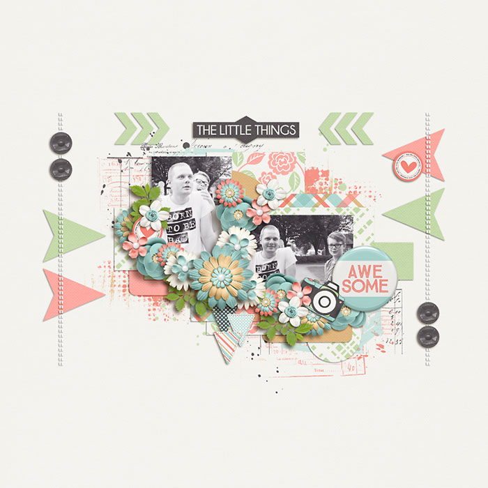 thelittlethings-small