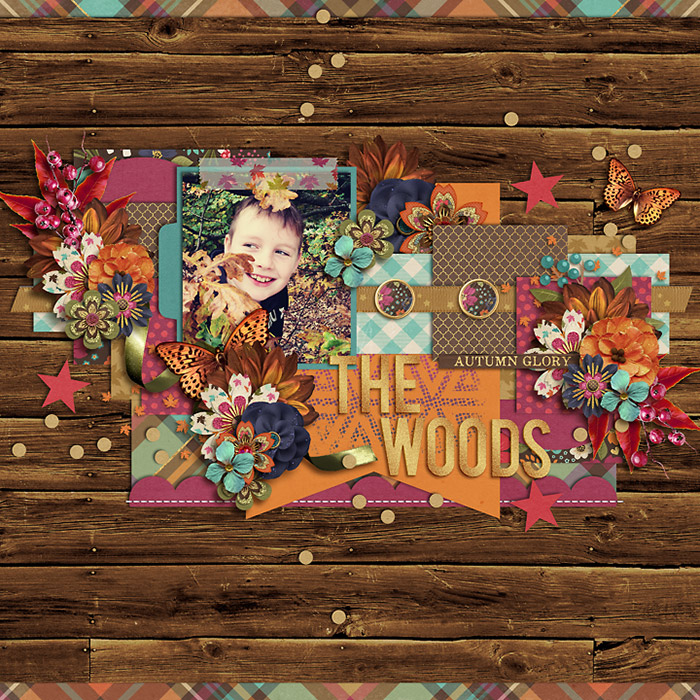 thewoods-small