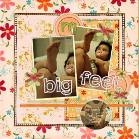 01-08-Big-Feet-WEB.jpg