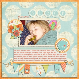01_03_2007_Sleep.jpg