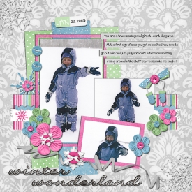 01_22_2005_Winter_Wonderlan.jpg