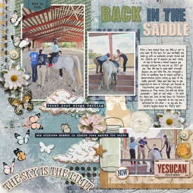 02---back-to-the-barn-copy.jpg
