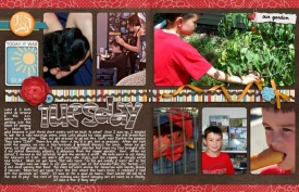 02-Tuesday-web.jpg