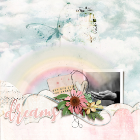 0205-2-chaserainbows.jpg