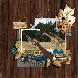 0209-Girafe.jpg