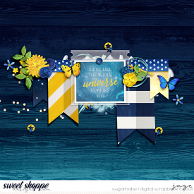 0216-ToT1b_KCB-copy.jpg