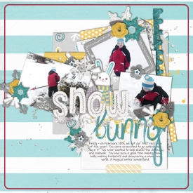 021812-snow-bunny.jpg