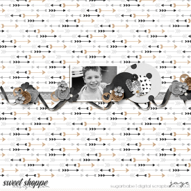 0219-AmandaY_MMullins-copy.jpg