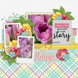 0227-template.jpg