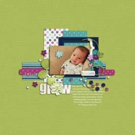 031310resized.jpg