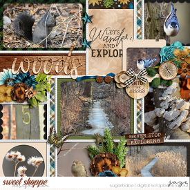 0317-Palooza_CS_Explore_DSI-copy.jpg
