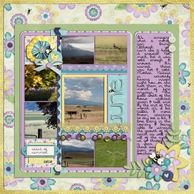 04-16-pastel-June2010-copy.jpg