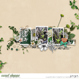 0415-PlantSmiles_LBW-copy.jpg