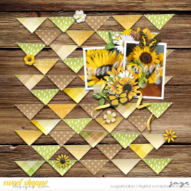 0418-FollowSun_KCB-4Triangles_LJS-copy.jpg