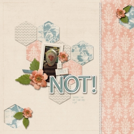 04I-Lovely-NOT_-Web.jpg