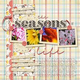 04J-Season-Web.jpg