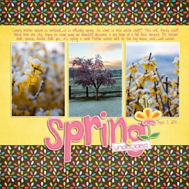 04_MM_SpringHoot_30-copy.jpg