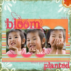 052208_bloom-web.jpg