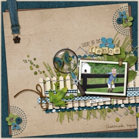 05L-Fence-in-Virginia-Web.jpg