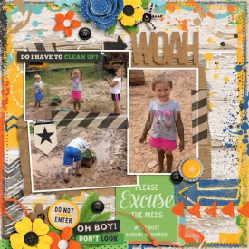 06-26-AY-ExcuseTheMess-fdd_ffDrippy2_tp4-600.jpg