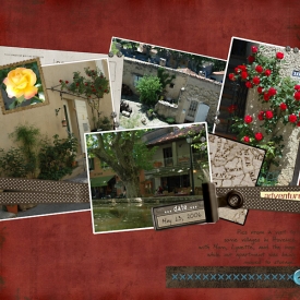 060513franceflowers4web.jpg