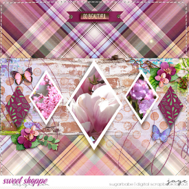 0611-Hydranga_endy-DiamondLife_TNP-copy.jpg