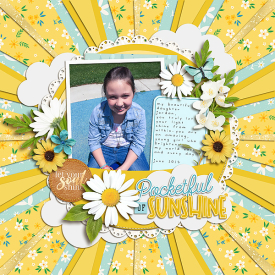 0615-Pocketful-Of-Sunshine.jpg