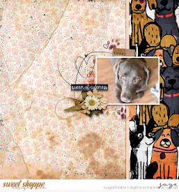 0713-CrazyDogLady_LBW.jpg