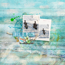 0715-SOSN-beachscape.jpg