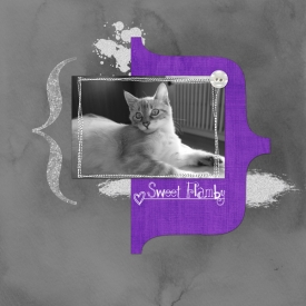 08-03-24-sweet-flamby-shutterbug7-sketch08-03-18.jpg