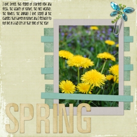08-03-25-spring-SWTSB29.jpg