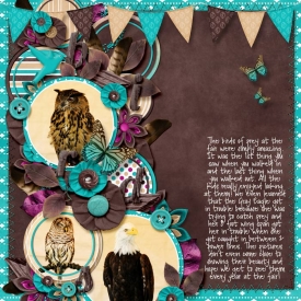 08_11_12BirdsofPrey.jpg