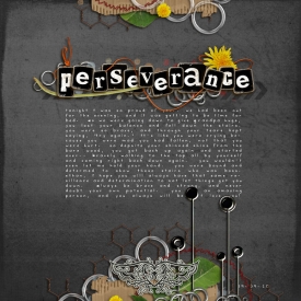 090910-perseverance.jpg