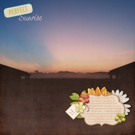 09_10_08PerfectSunrise_Web.jpg