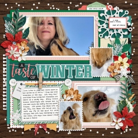 1-19TasteofWinter-copy.jpg