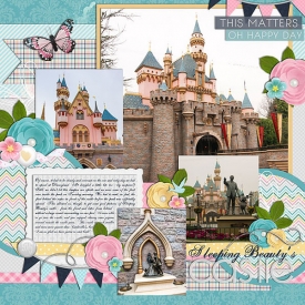 1-20-15_SleepingBeauty_sCastle-cs_HP111-jld_lc-a-web.jpg
