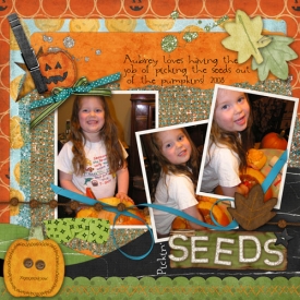 10-26-08_Pickin_-Seeds.jpg