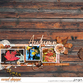 1001-FallTime_WendyP-copy.jpg